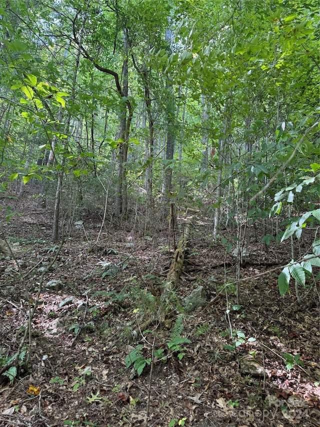 TBD Cutshall Town Rd, Marshall, NC 28753