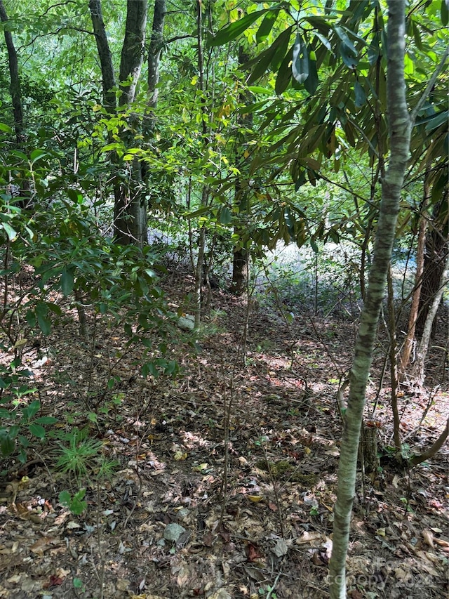TBD Cutshall Town Rd, Marshall, NC 28753