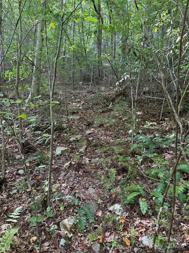 TBD Cutshall Town Rd, Marshall, NC 28753