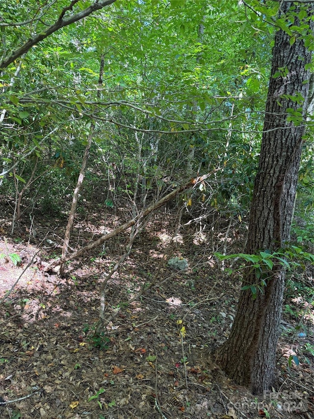TBD Cutshall Town Rd, Marshall, NC 28753
