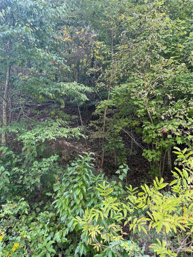 TBD Cutshall Town Rd, Marshall, NC 28753
