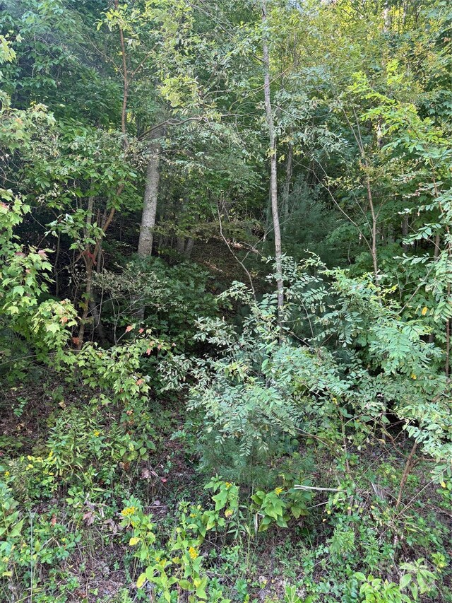 TBD Cutshall Town Rd, Marshall, NC 28753