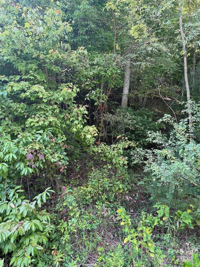TBD Cutshall Town Rd, Marshall, NC 28753