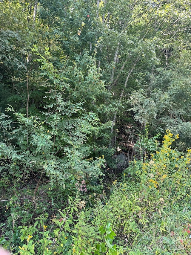 TBD Cutshall Town Rd, Marshall, NC 28753