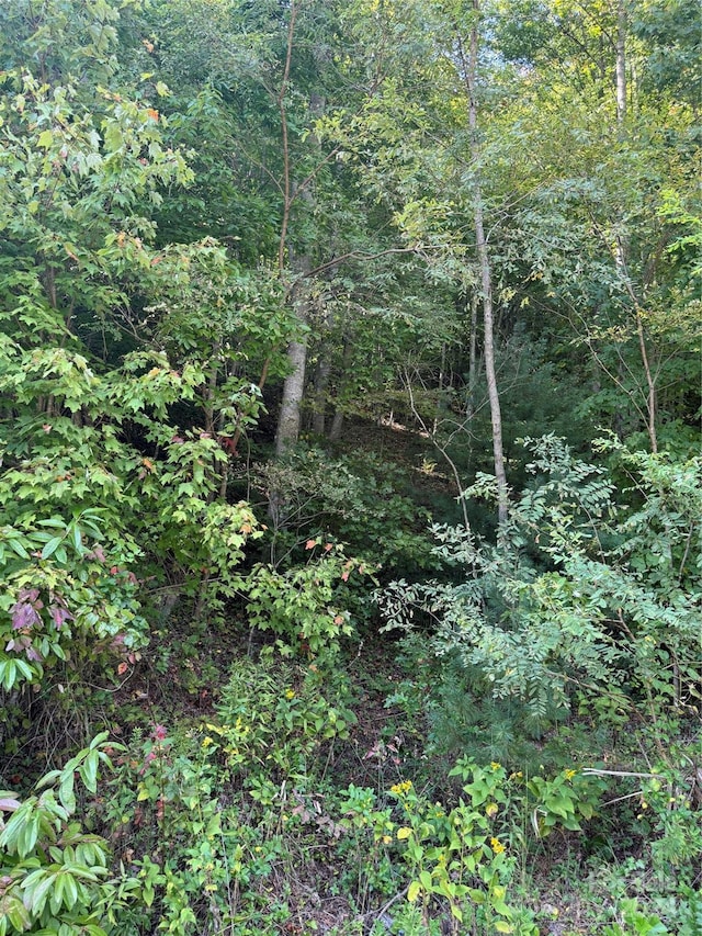 TBD Cutshall Town Rd, Marshall, NC 28753