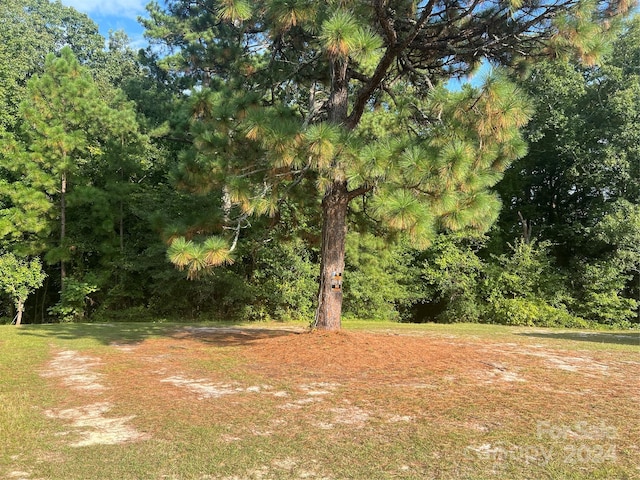 00 Legion Cir, Pageland SC, 29728 land for sale