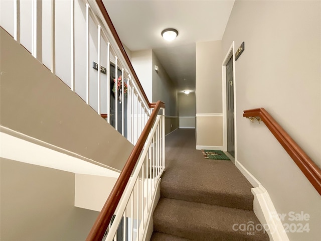 stairs featuring carpet