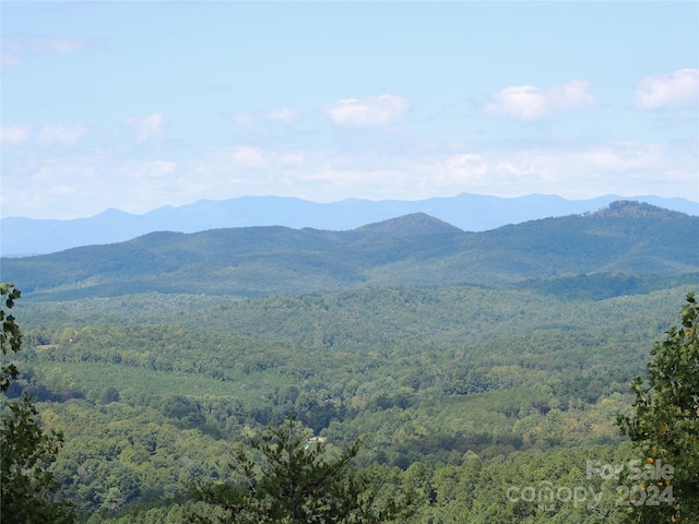 146 Saratoga Dr Unit 146, Bostic, NC 28018 - photo 2