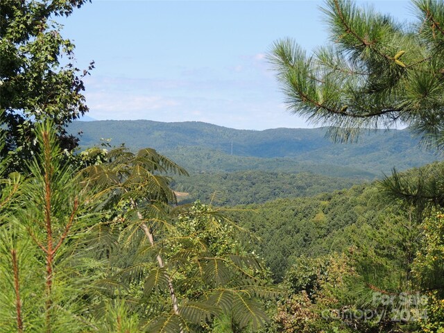146 Saratoga Dr Unit 146, Bostic, NC 28018 - photo 3