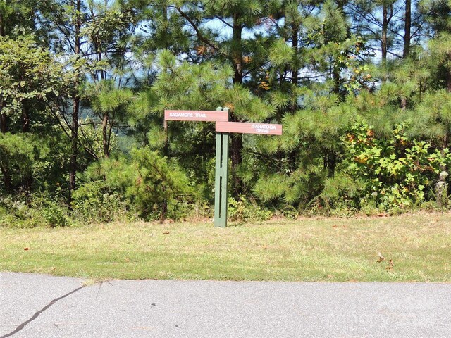 146 Saratoga Dr Unit 146, Bostic, NC 28018 - photo 4