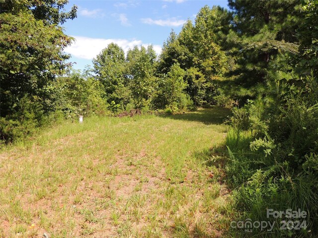 146 Saratoga Dr Unit 146, Bostic, NC 28018 - photo 5