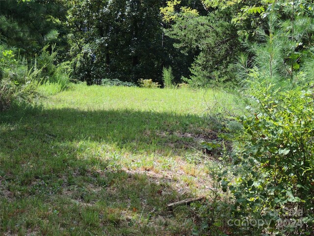146 Saratoga Dr Unit 146, Bostic, NC 28018 - photo 6
