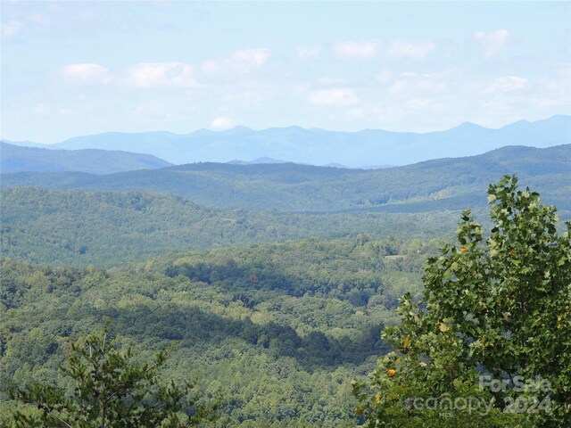 146 Saratoga Dr Unit 146, Bostic, NC 28018 - photo 7