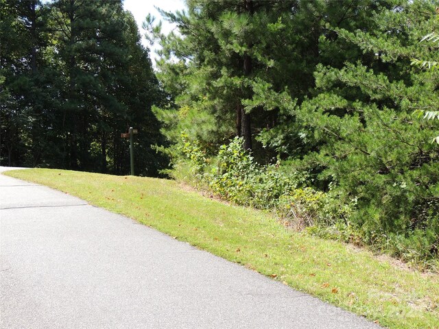 146 Saratoga Dr Unit 146, Bostic, NC 28018 - photo 9