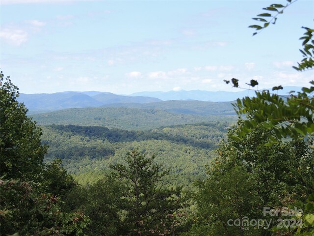 146 Saratoga Dr Unit 146, Bostic, NC 28018 - photo 11