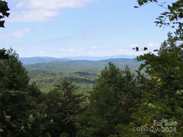 146 Saratoga Dr Unit 146, Bostic, NC 28018 - photo 12