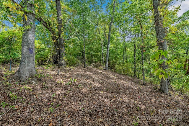 1380 Seven Glens Dr, Weaverville NC, 28787 land for sale