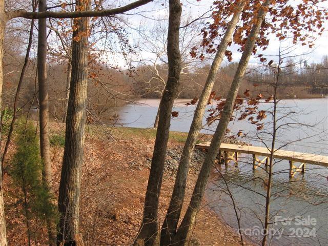 6741 Timahoe Ln, Charlotte, NC 28278 - photo 8