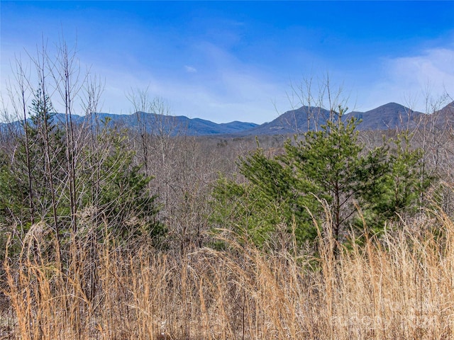 0000 Holland Drive 40 & 41, Columbus NC, 28722 land for sale