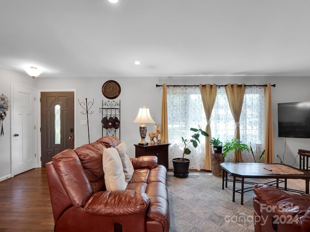 living room featuring hardwood / wood-style floors