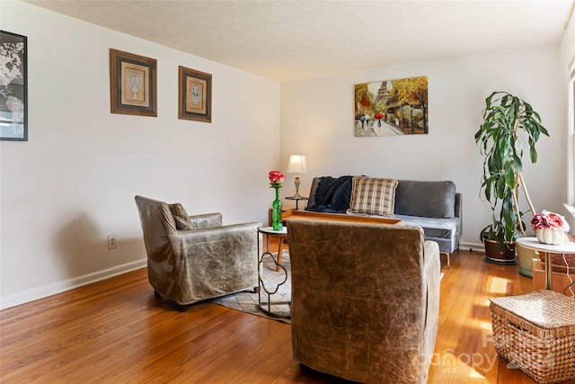 living room with hardwood / wood-style flooring