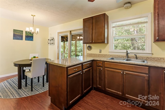 kitchen featuring dark hardwood / wood-style floors, plenty of natural light, and sink