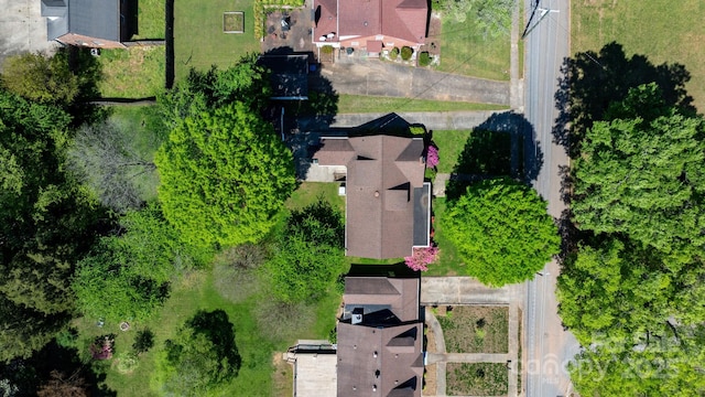 bird's eye view