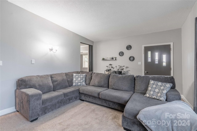 living room featuring a textured ceiling, a healthy amount of sunlight, and light colored carpet