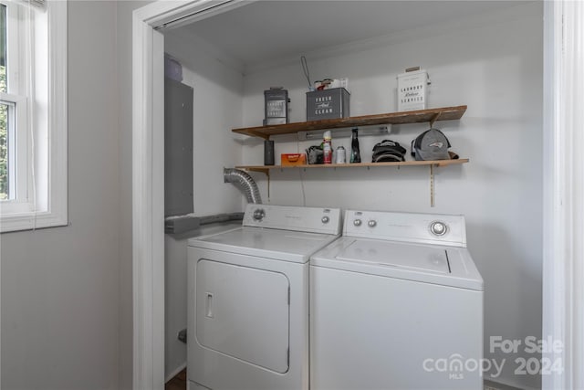 clothes washing area with ornamental molding, washer and dryer, and electric panel