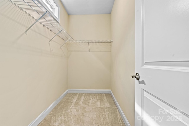 spacious closet with carpet floors