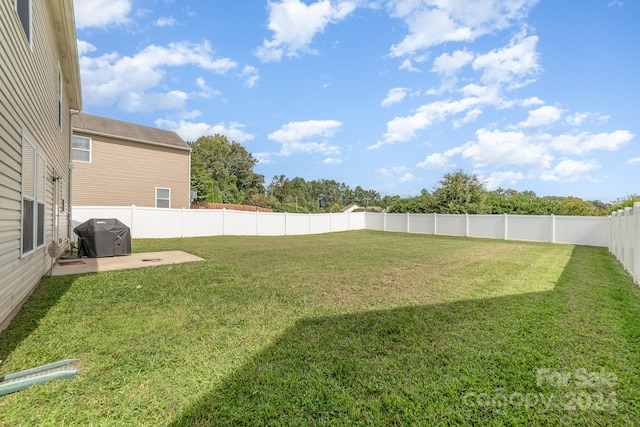 view of yard featuring a patio area