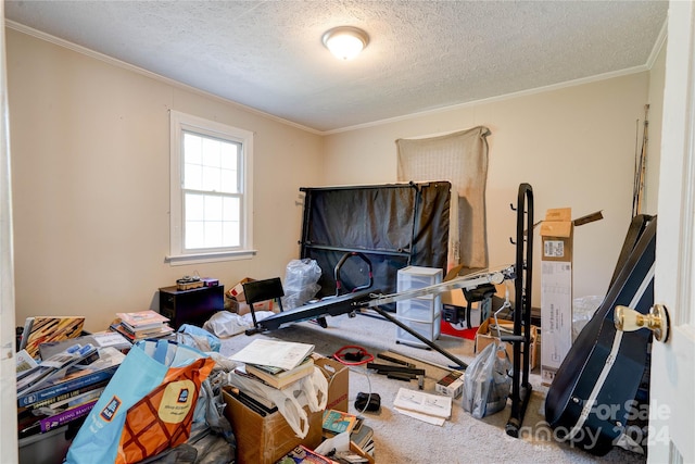 interior space with crown molding and a textured ceiling