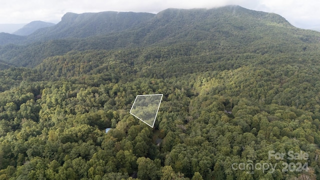 0000 Loggers Ln, Linville Falls NC, 28657 land for sale