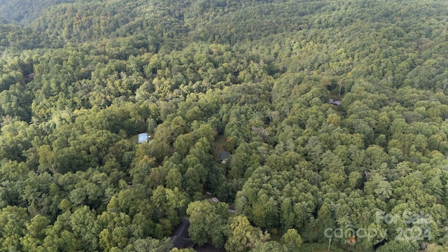 Listing photo 3 for 0000 Loggers Ln, Linville Falls NC 28657