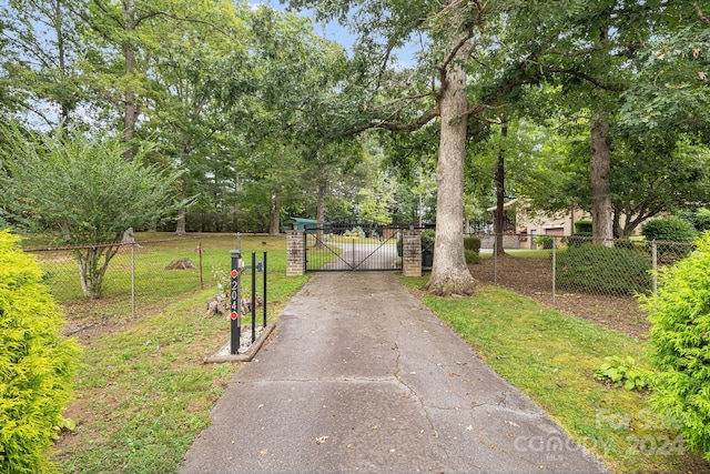 view of home's community with a yard