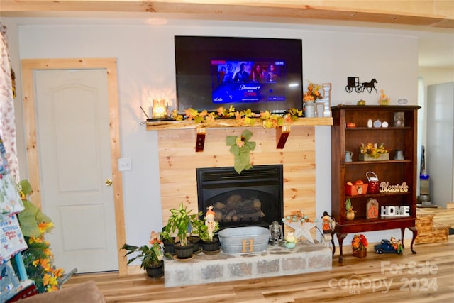 living room featuring hardwood / wood-style flooring