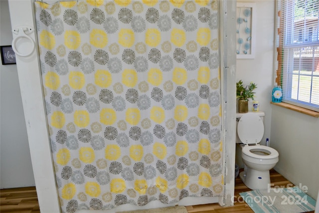 bathroom with toilet and hardwood / wood-style flooring