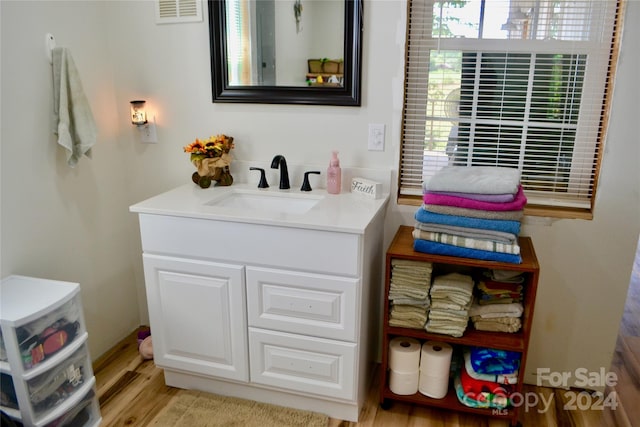 bathroom featuring wood-type flooring and vanity