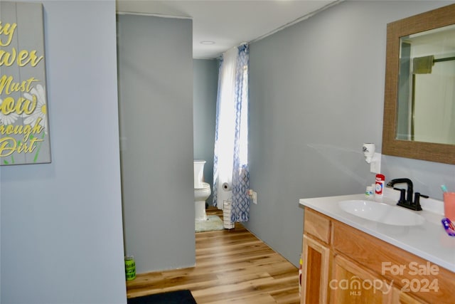 bathroom with vanity, toilet, and hardwood / wood-style floors