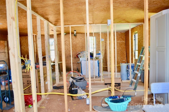 miscellaneous room featuring a wealth of natural light