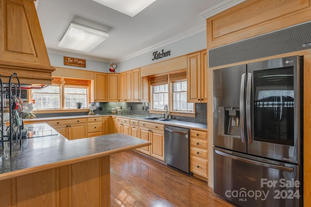 kitchen with appliances with stainless steel finishes, crown molding, sink, and a healthy amount of sunlight