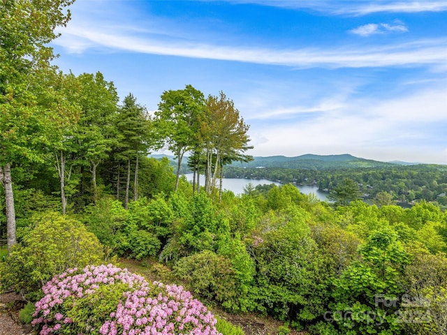 property view of mountains with a water view