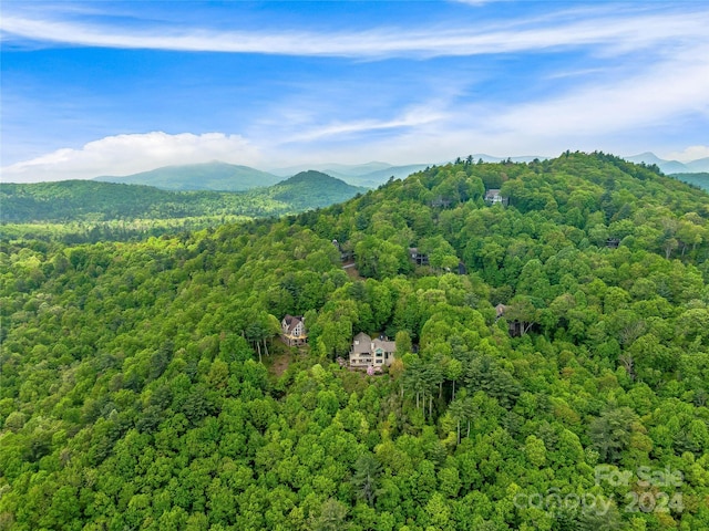 view of mountain feature