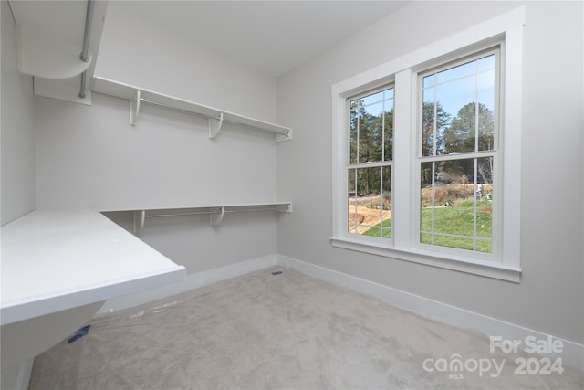 walk in closet featuring light carpet