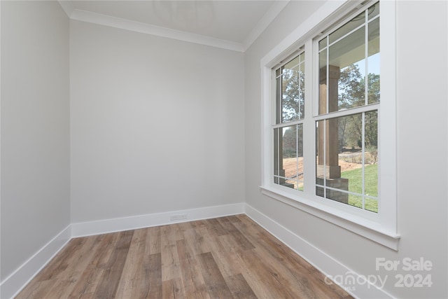 unfurnished room featuring light wood-type flooring, crown molding, and a wealth of natural light