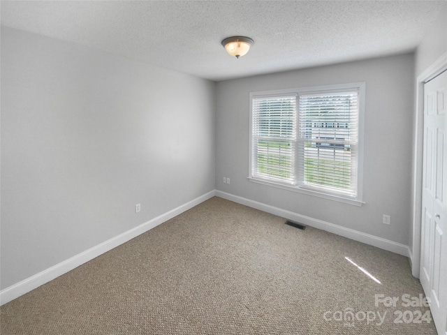 spare room with carpet and a textured ceiling