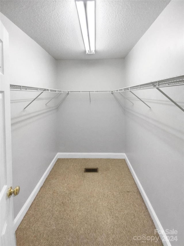 walk in closet featuring carpet floors