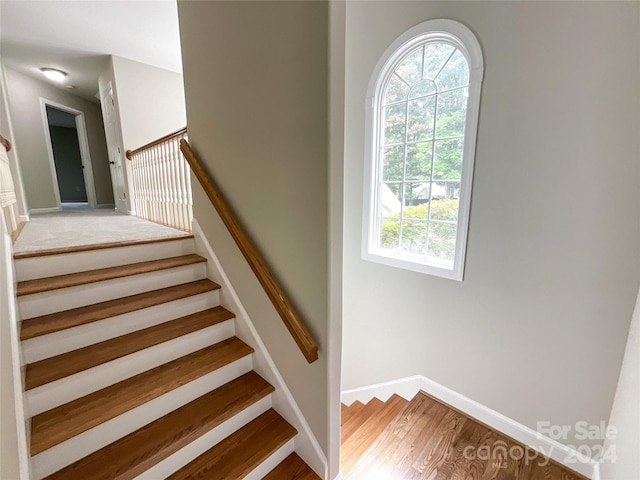 stairway featuring wood-type flooring