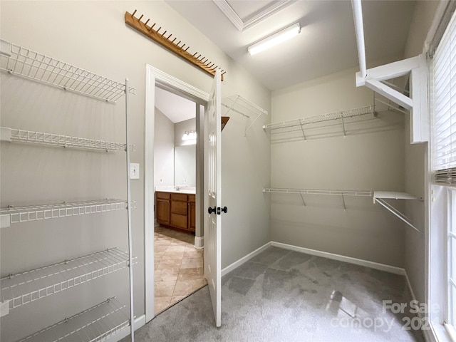 spacious closet with carpet