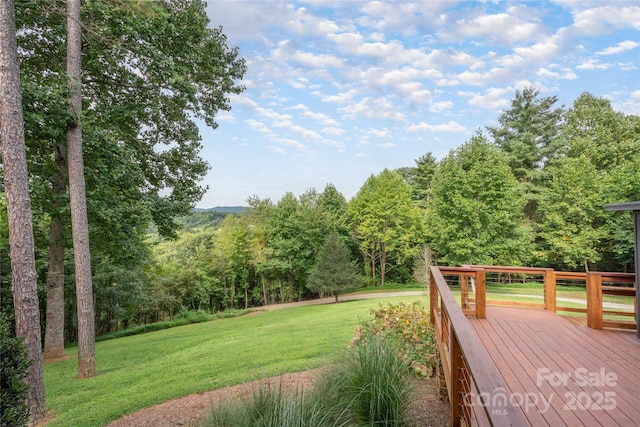 69 Merrell Rd, Leicester, NC 28748 - photo 19